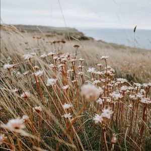 Open to all offers, please don’t hesitate!